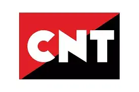 Cnt