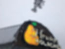 16178420_1862600043996995_3710247262165004902_o.jpeg
