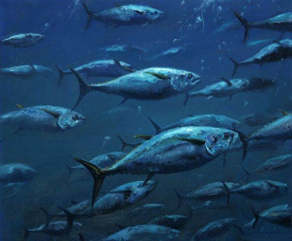 Frazier From the Deep, Bluefin Tuna