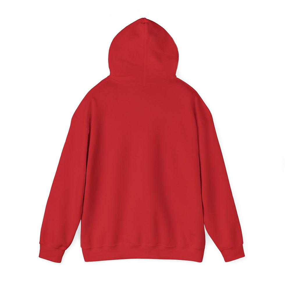 Thumbnail: Spiritual Justice (American Flag Addition) Hoodie
