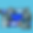TDC colage (7).png