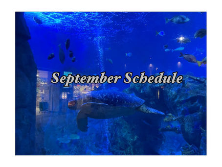 September Schedule