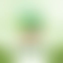 サスティナブルな暮らし