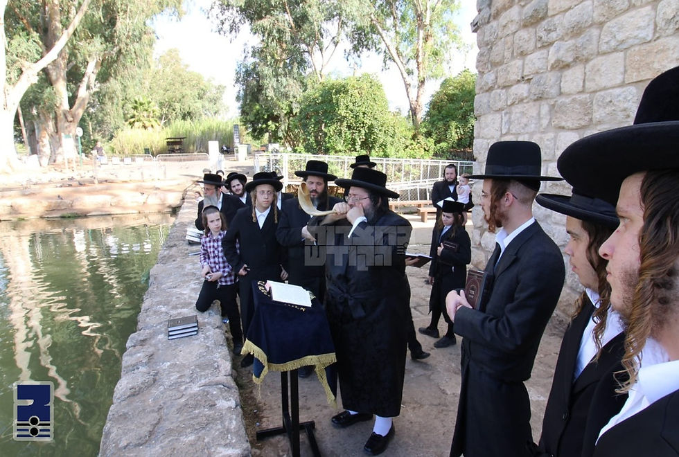 האד' מצאנז זמיגראד ביי אמירת תשליך שלש עשרה מידות | בילדער גאלעריע