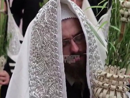 ווידיאו • האד' מסאדיגורא ביי די עבודת הנענועים חול המועד סוכות