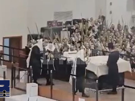 ווידיאו • הלל און הושענות ביי כ"ק אדמו"ר מגור שליט"א א' דחול המועד סוכות