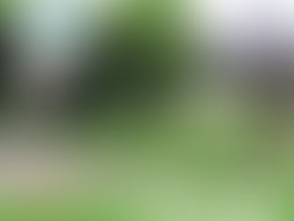 Entre Flore et Nature 2018