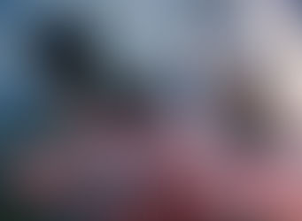 Ruaudin recrudescence de vols dans la nuit du 2 au 3 juillet 2019