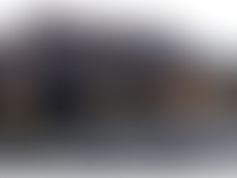 Une espèce protégée délogée d’un des plus vieux bâtiments de Ruaudin.