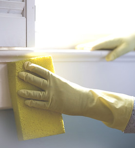 Scrubbing the Walls_edited.jpg