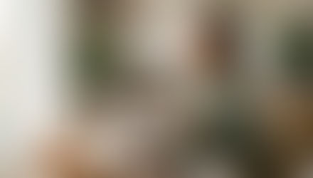 Poids émotionnel : comment s’en débarrasser et retrouver la paix intérieure