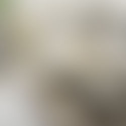 Où trouver des soins authentiques en cosmétique de la mer Morte ?