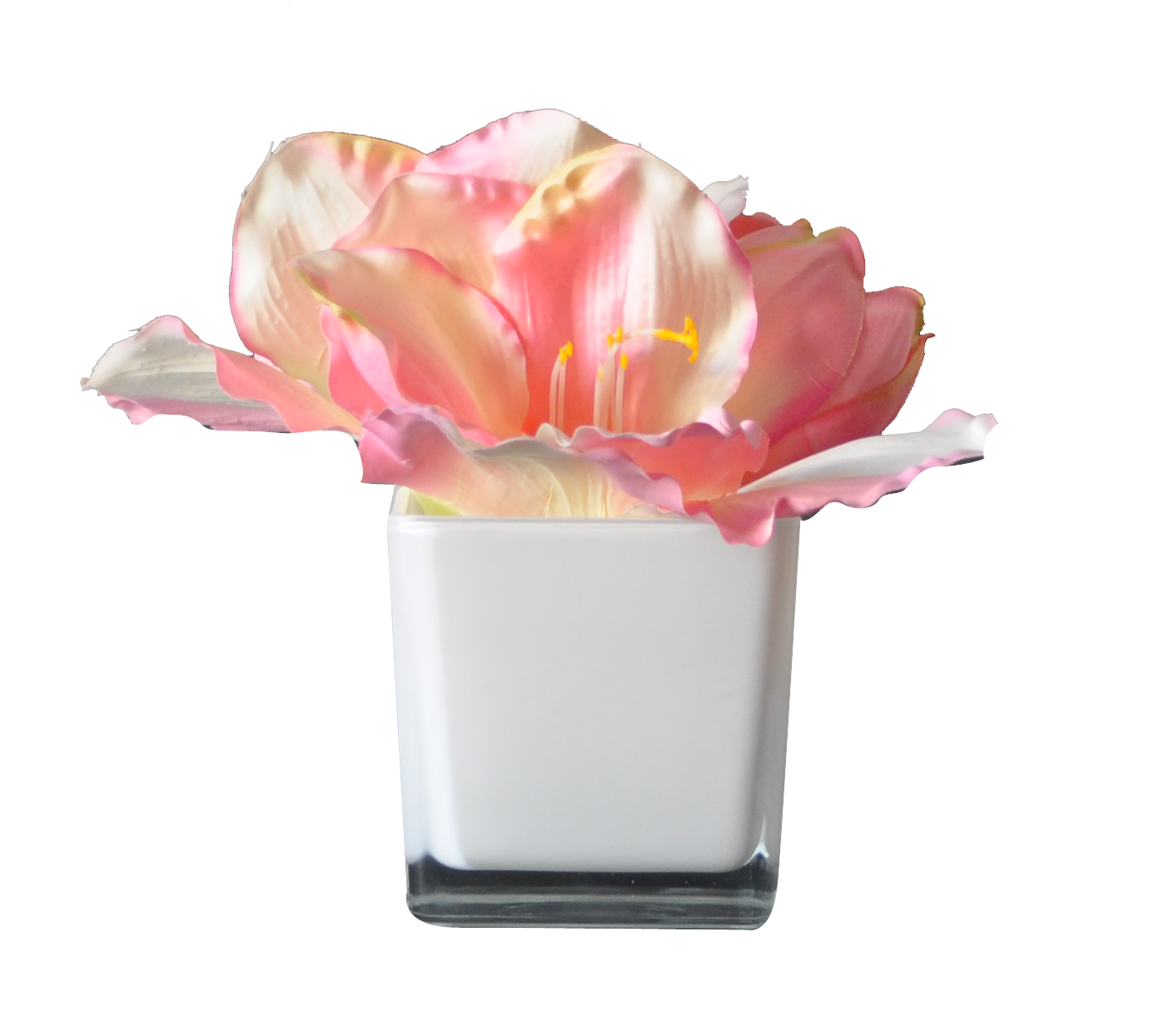 Centre de Table S AMARYLLIS ROSE  CUBE WH