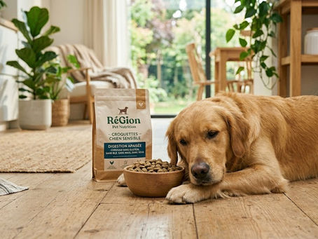 Mon chien a une digestion sensible : quelles croquettes chien sensible choisir ?
