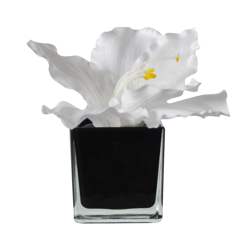 Soliflor XS AMARYLLIS  BLANC CUBE BK
