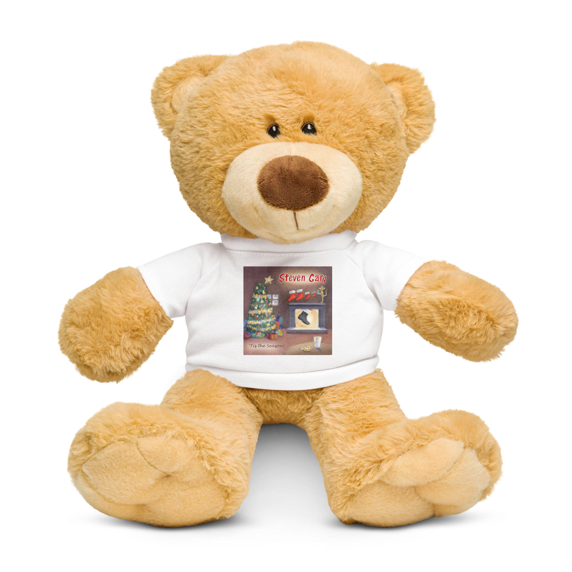 Teddy bear with a t-shirt
