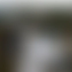 Importance of Trained Document Controllers