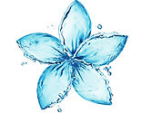 Water_Plumeria_2x2 copy.jpg