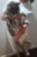 290888228_1230706307741899_6357077921258351561_n