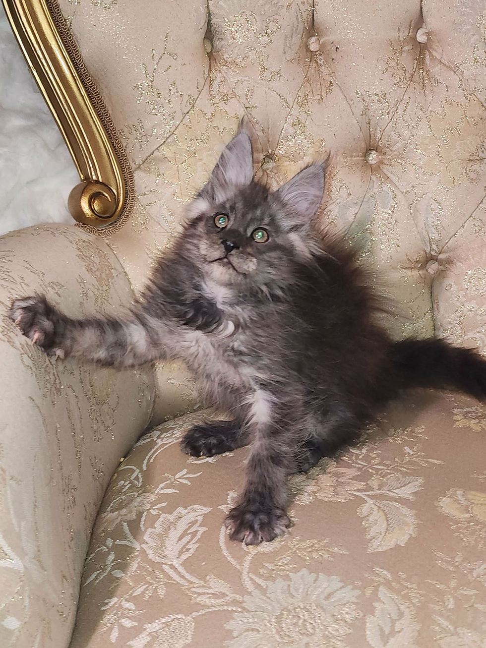 8f6bd9ff-079b-4b18-b243-0b793a5f1a40