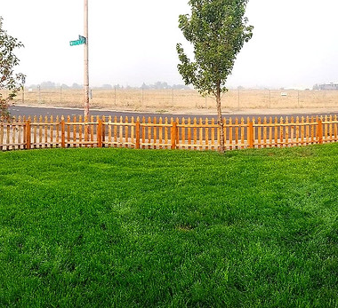 4 pic_edited_edited.jpg