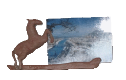 Pore-photo cheval2 en chêne teint acajou lustrer sans vernis : 35€