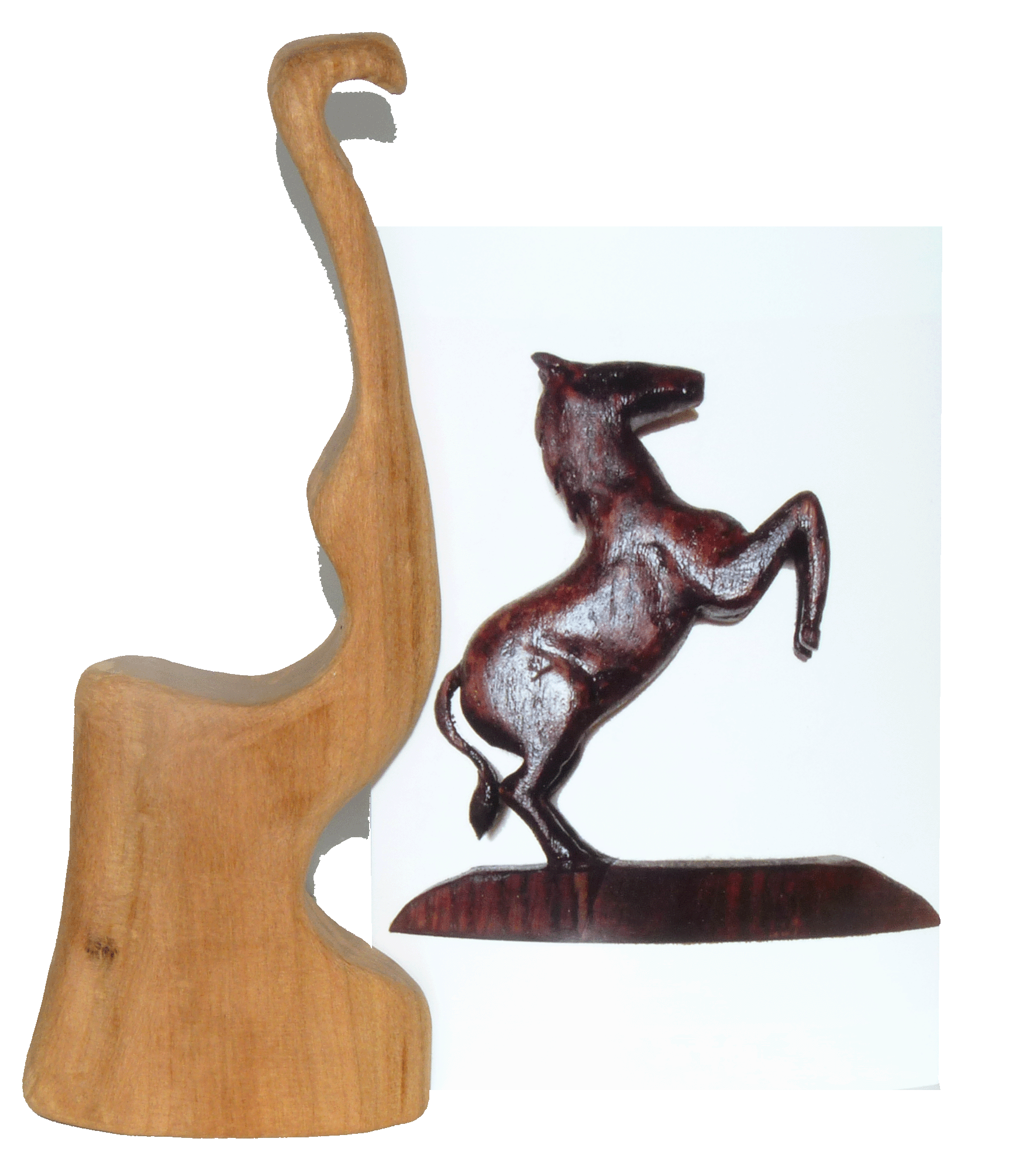 Exposition uniquement