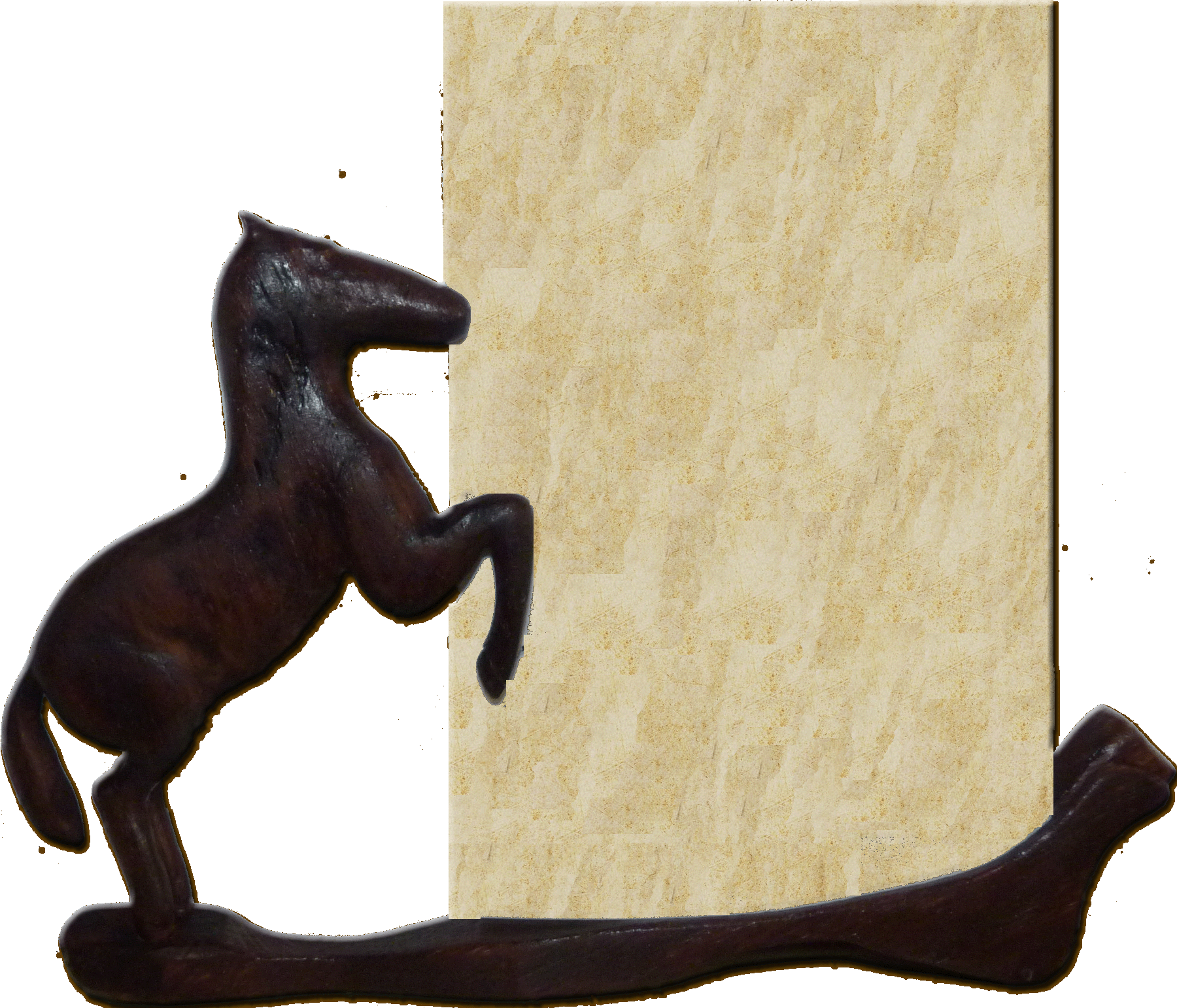 Exposition seulement