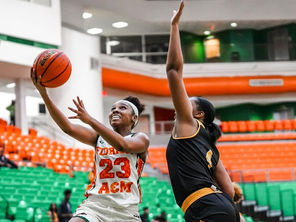 Dylan Horton: College Basketball Player, Florida A&M University