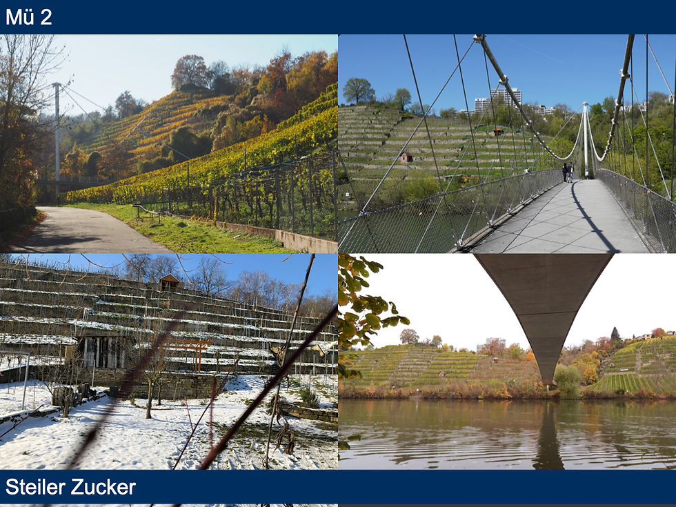 Galerie für Homepage.039