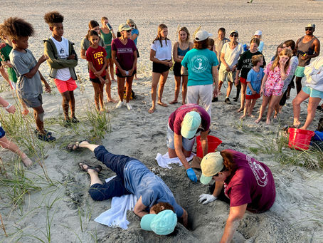 Inventories of IOP Nest 10 & Nest 14 August 5