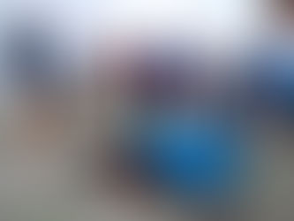 Inventory of Sullivan's Nest #3               August 10