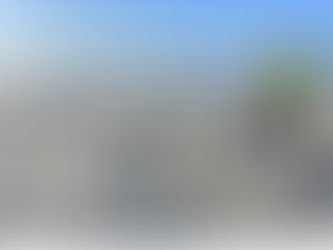 First Nest in South Carolina