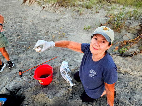 Three more Nests on IOP and One Nest with three false crawls on SI