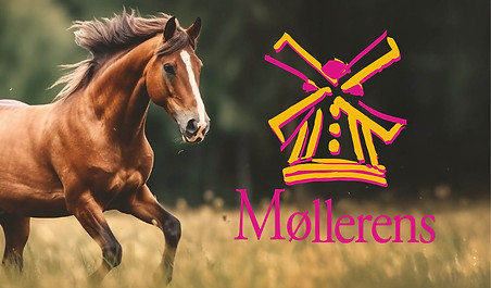 Cover Møllerens - pink logo.jpg