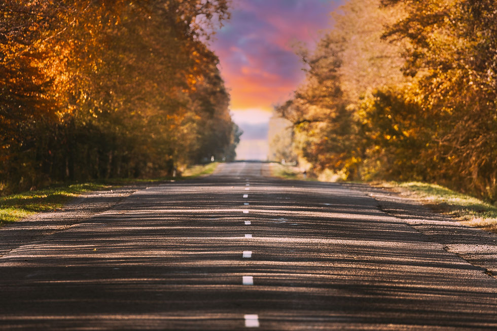 Road_Trip_Concept._Autumn_Sundown_Above_Road_Landscape._Way_Leading_To_Horizon_original_16