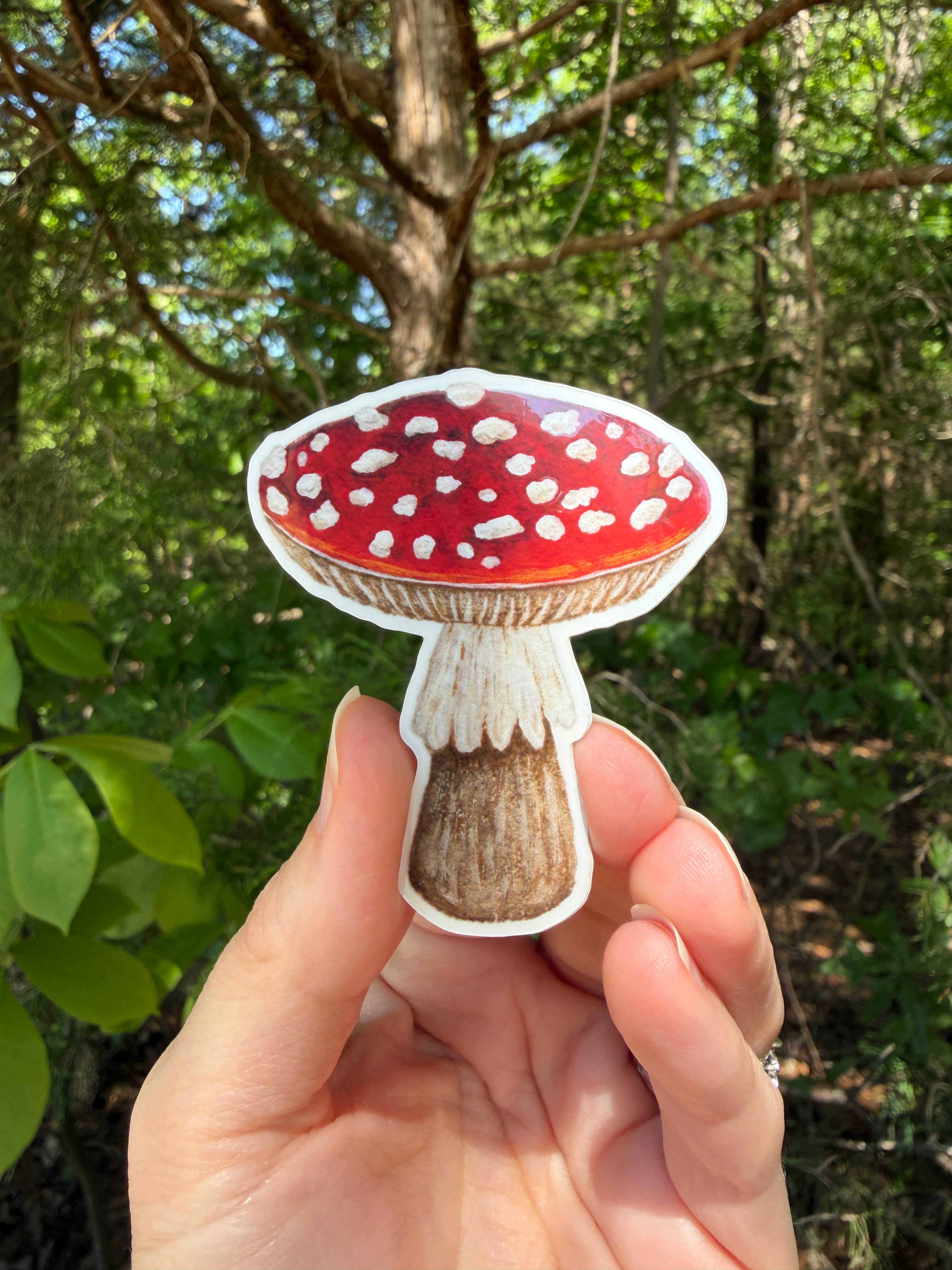 Amanita Mushroom Vinyl Sticker