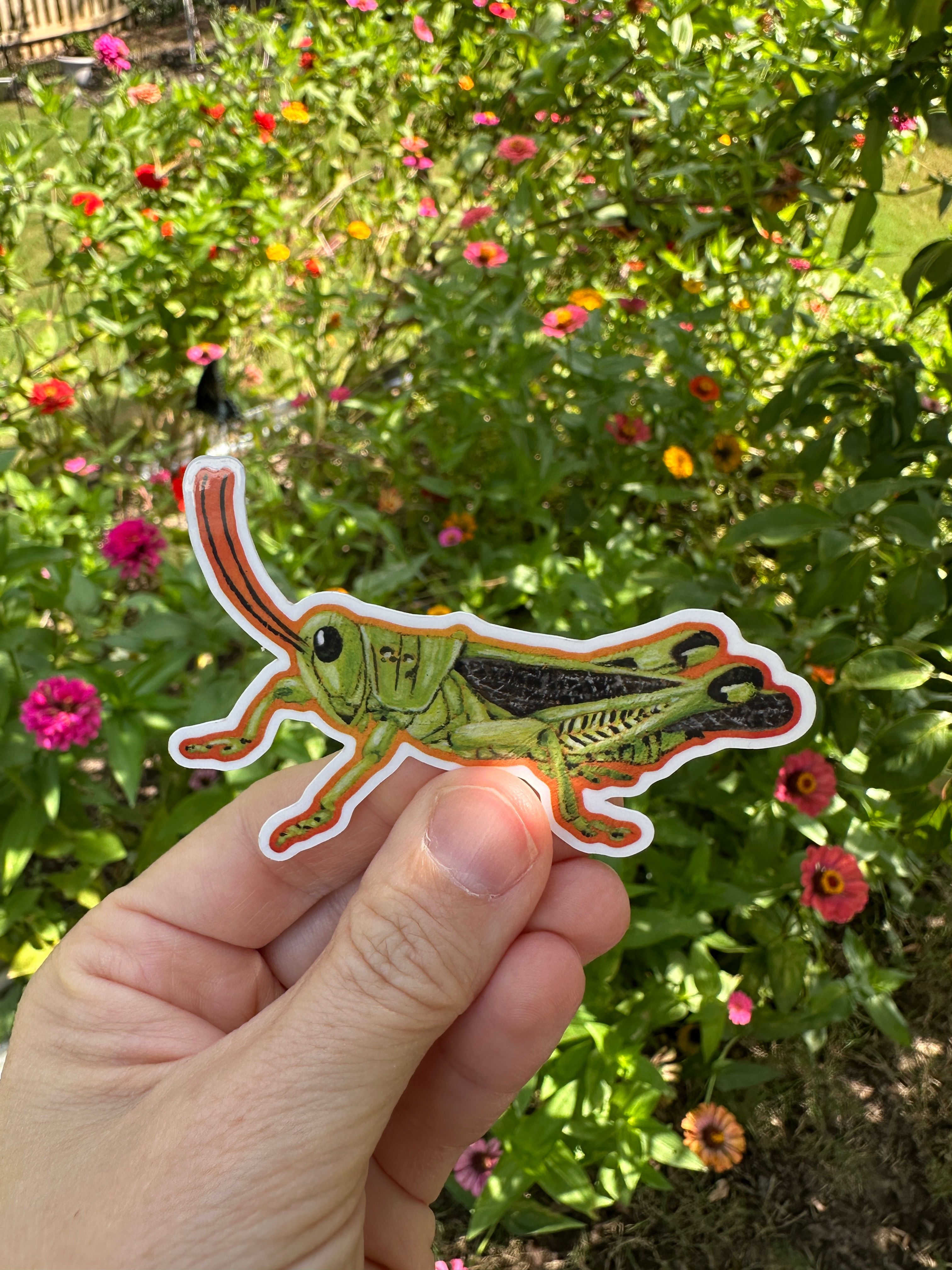 Grasshopper Vinyl Sticker