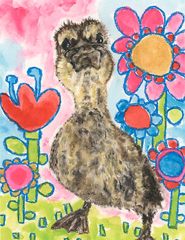 Billie the duck by jules gissler