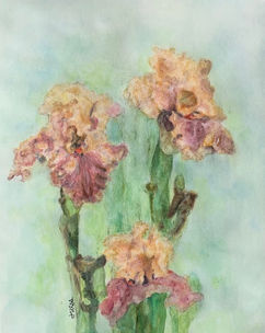 irises by jules gissler