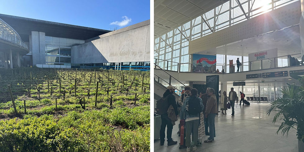 Airport with vine plants outside under a blue sky; inside, people stand and walk. Signs indicate directions and a "GAMING ZONE."