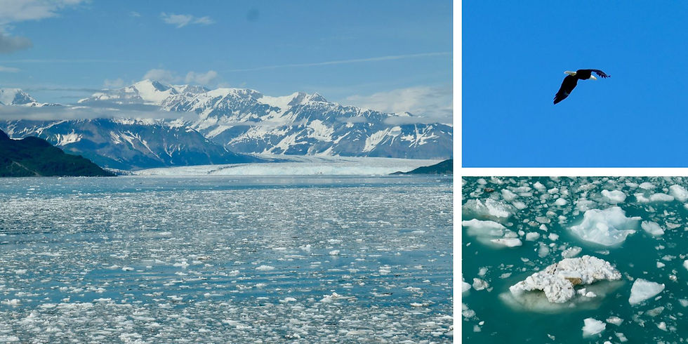 Ice-choked blue bay with snowy mountains, a flying eagle, and floating glacier ice under a clear sky.