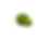 Untitled design (4).png