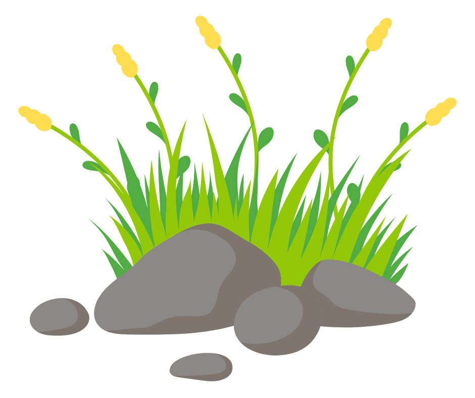 Grass