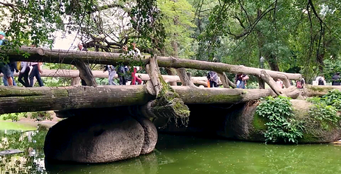 Campo Bridge.png