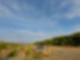 20210428_175059.jpg