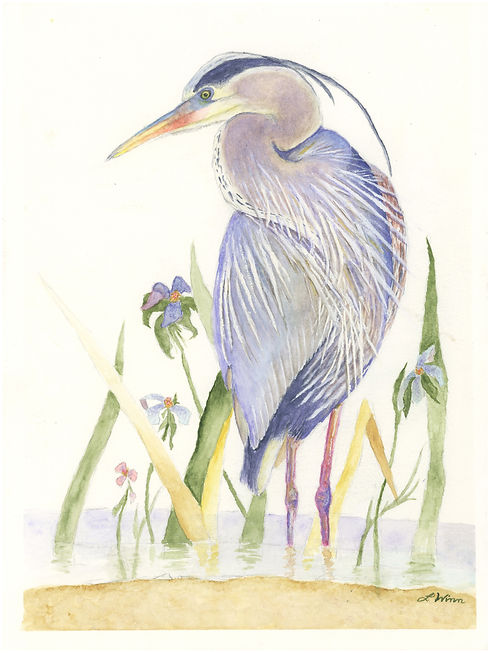 winn001 RTP 9x12.jpg