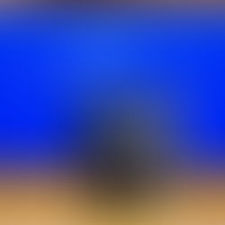 HY-BK21 대학원혁신 프로그램 우수상 수상