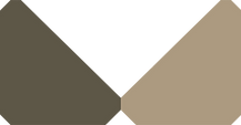 Asset 1.png