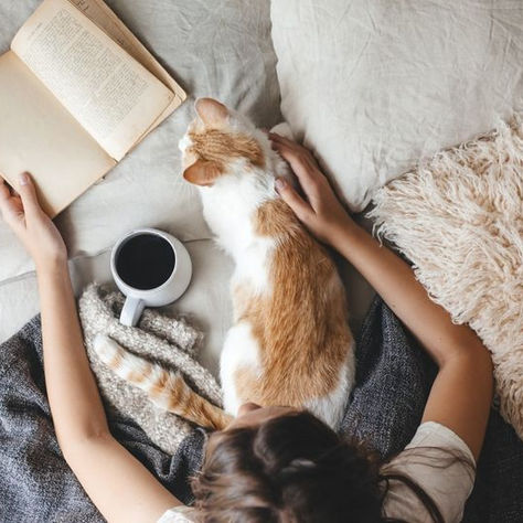 ĐẦU TƯ TỐT NHẤT LÀ ĐẦU TƯ VÀO BẢN THÂN